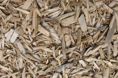 biomass boilers Coppice